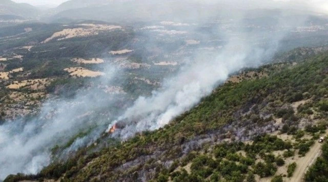 Ciğerlerimiz yanıyor! 7 ilde orman yangını - Sayfa 10
