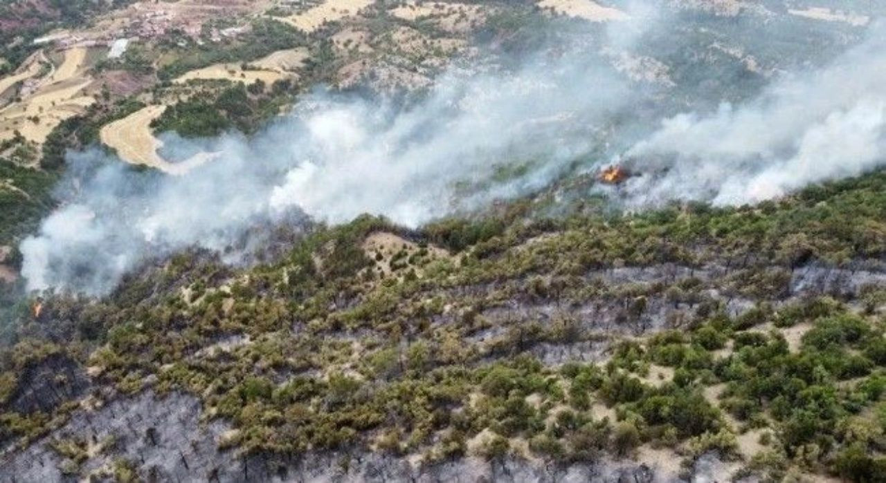 Ciğerlerimiz yanıyor! 7 ilde orman yangını - Sayfa 9