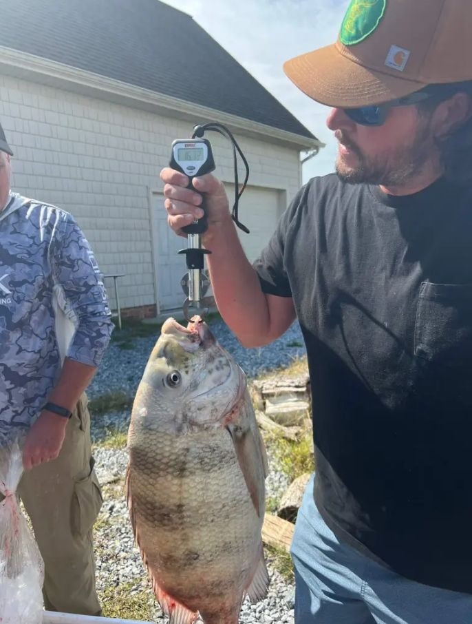 Balıktan çok insana benziyor: Dişlerini gören şoke oldu - Sayfa 5