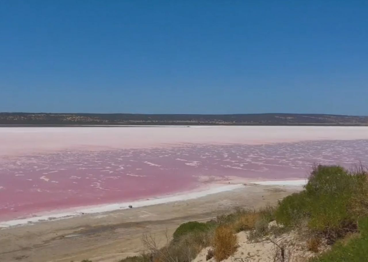 Avustralya'daki sulak alanlar bir anda pembeye dönmesi böle halkını şaşkına çevirdi! Nedeni ortaya çıktı... - Sayfa 10