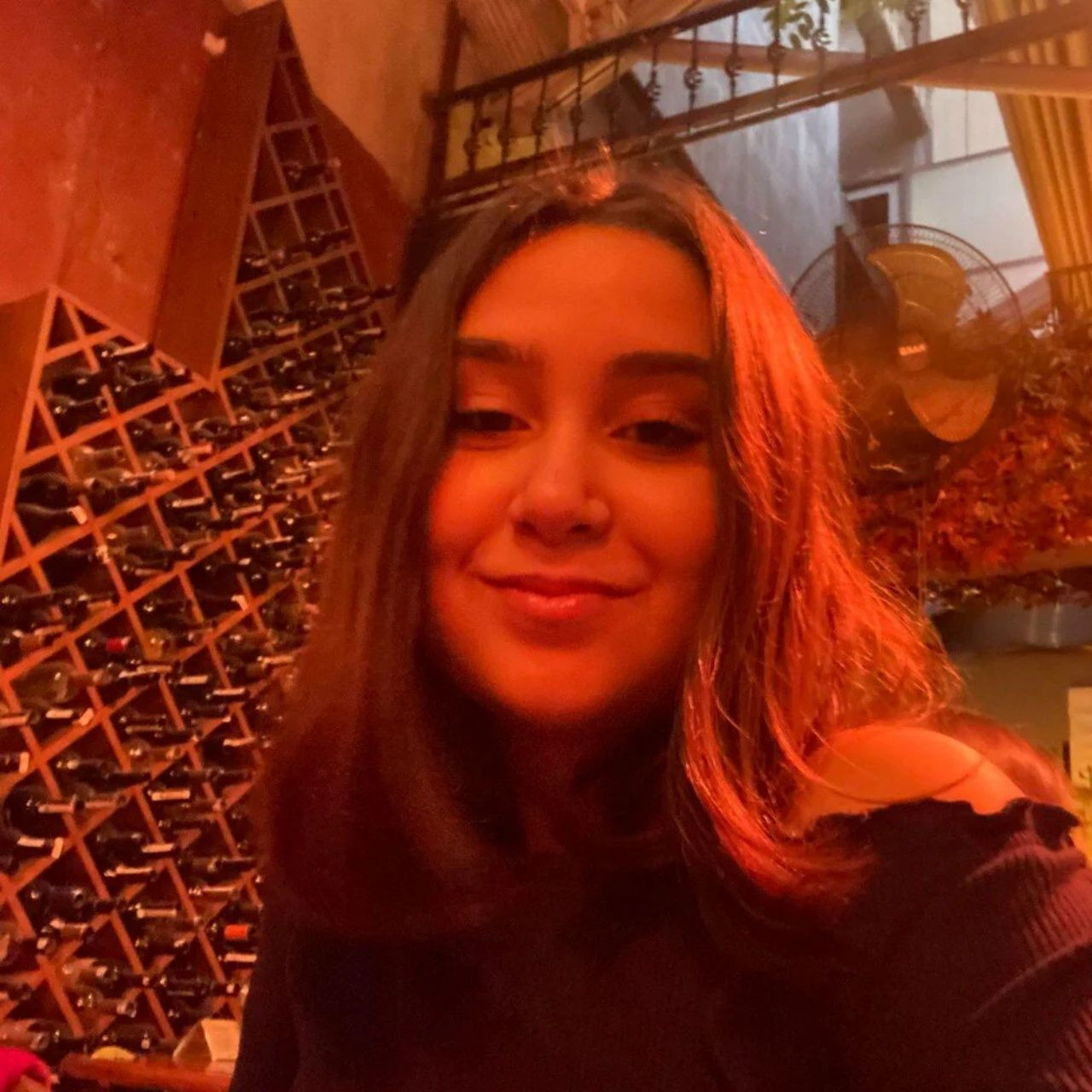 Manisa'da esrarengiz ölüm! Anne ve kızı asansörde ölü bulundu - Sayfa 8