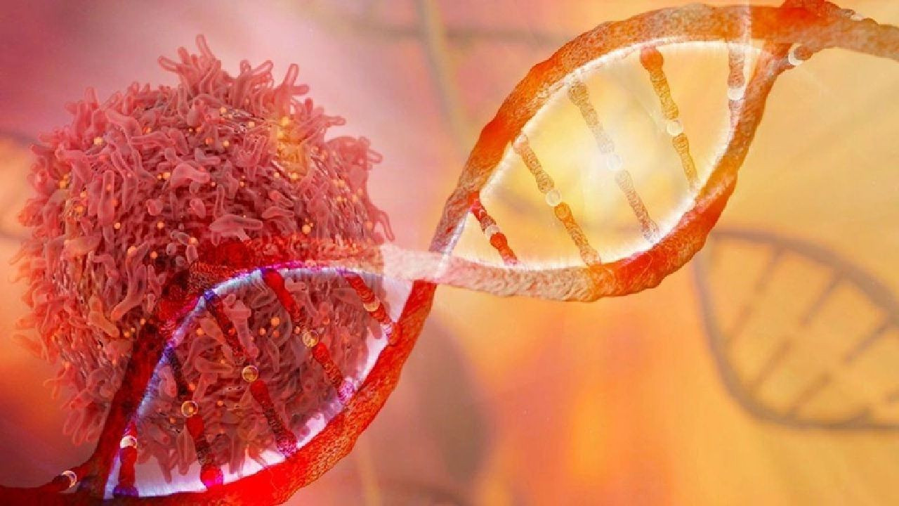 Önceki tahminleri gerçekleşti! Baba Vanga 2024 kehanetleri yürekleri ağza getirdi… - Sayfa 5