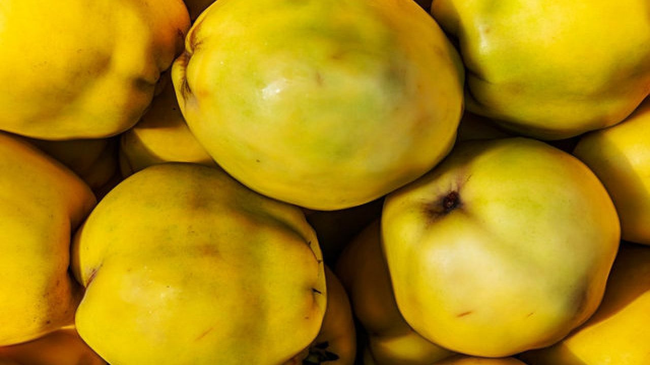 Bu besinler bağışıklığınızı güçlendiriyor! İşte kış aylarının vazgeçilmezi olacak o besinler... - Sayfa 6