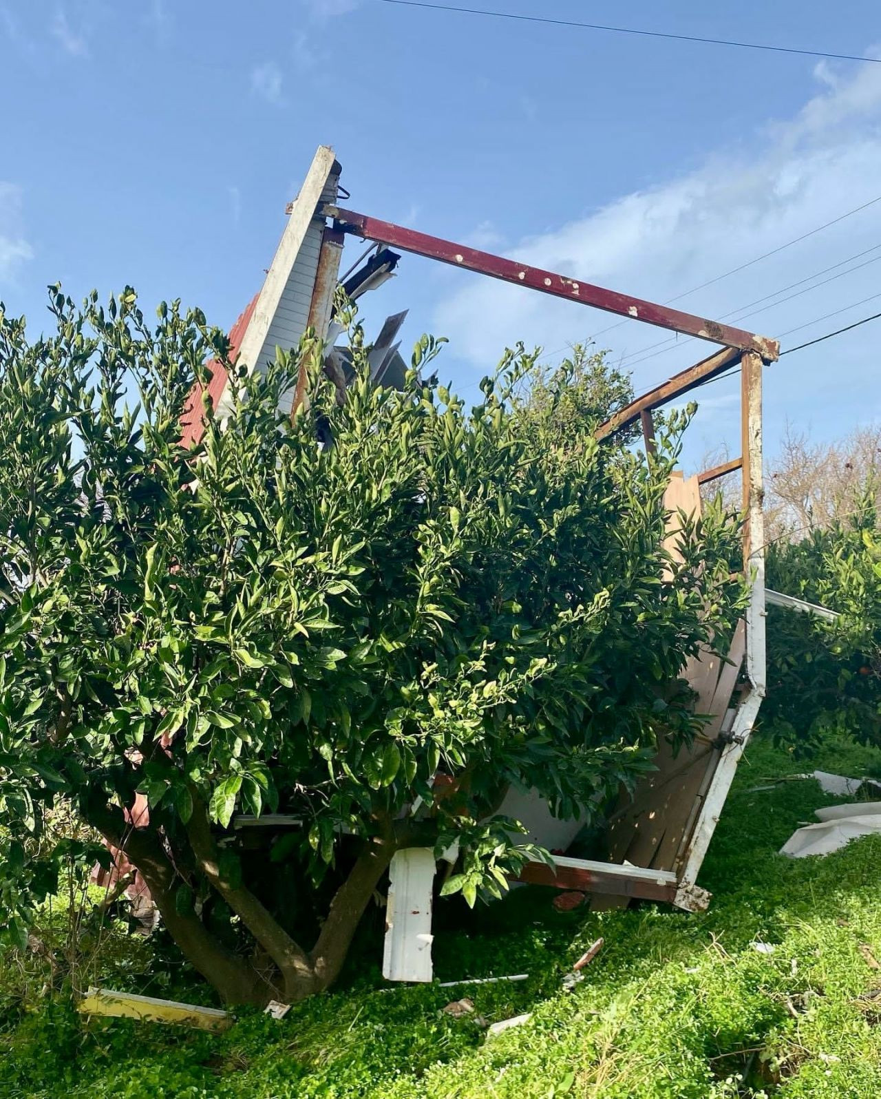 Meteoroloji uyarmıştı: İzmir'de hortum su tankerini 30 metre fırlattı, çatıları uçurdu, ağaçları devirdi - Sayfa 5