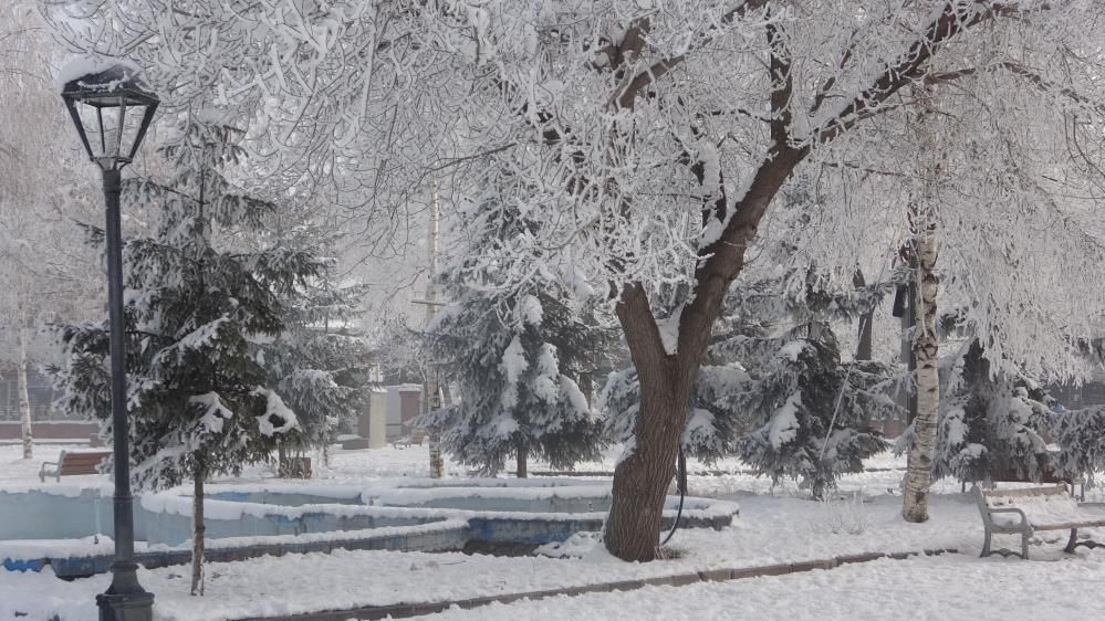 Ardahan rekor kırdı! Hava sıcaklığı -28 derece! Araçlar bile soğuktan çalışmıyor... - Sayfa 5