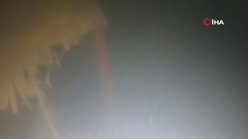 Batık gemiye dalış yapıldı mürettebat kamaraları görüntülendi - Sayfa 7