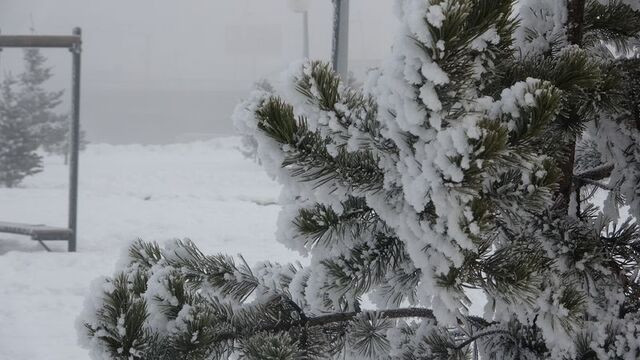 Ardahan'da dondurucu soğuk! Şehir sıfırın altında 23 derece ile buz tuttu - Sayfa 6