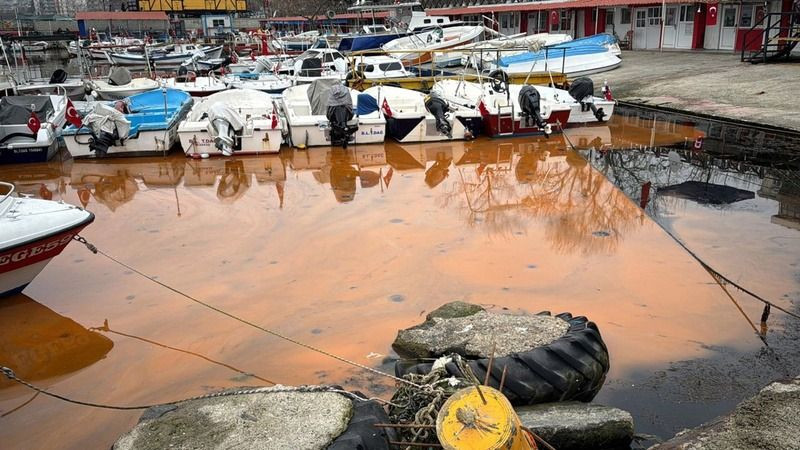 Tekirdağ'da tedirgin eden olay! Denizin rengi turuncu oldu! - Sayfa 7