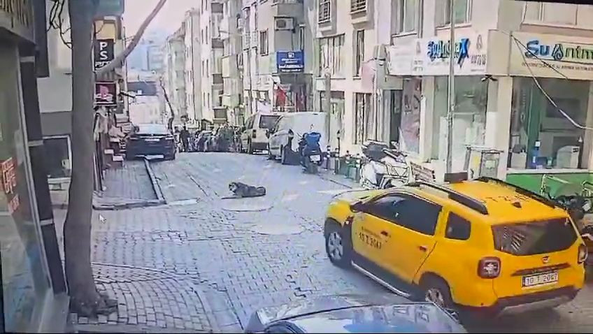 Balıkesir'de kan donduran olay: Uyuyan köpeği aracıyla ezerek öldürdü yoluna devam etti! İşte o anlar! - Sayfa 5