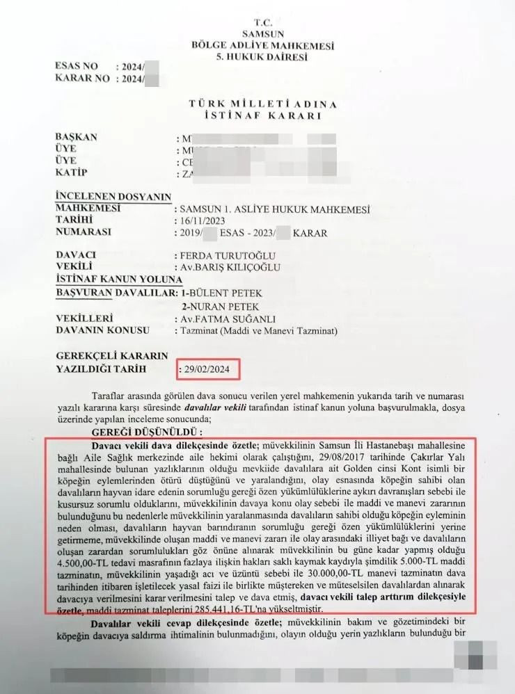 Köpeğin doktora havlaması sahibine 700 bin TL'ye patladı - Sayfa 6