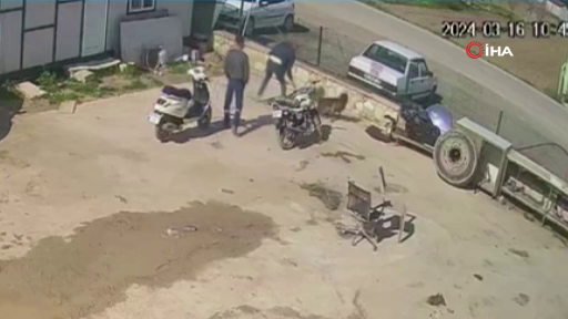 Gözü dönmüş cani durduk yere köpeğe saldırdı! İşte o işkence anları... - Sayfa 6