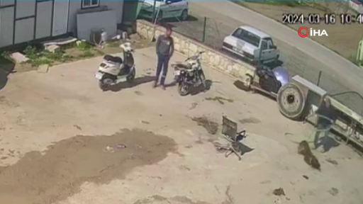 Gözü dönmüş cani durduk yere köpeğe saldırdı! İşte o işkence anları... - Sayfa 8