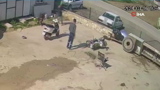 Gözü dönmüş cani durduk yere köpeğe saldırdı! İşte o işkence anları... - Sayfa 14