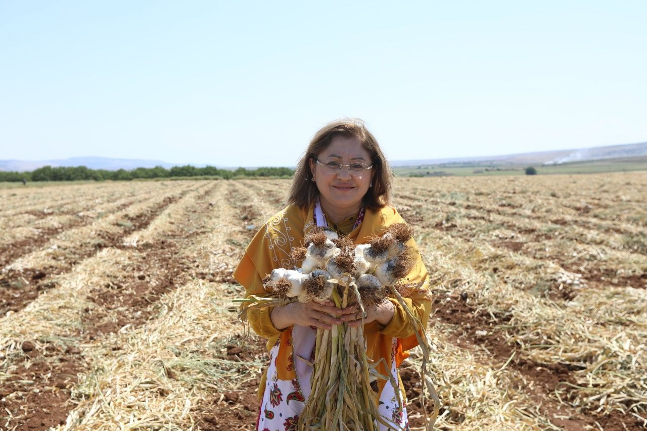 Gaziantep'in meşhur Araban sarımsağının ünü sınırları aştı... AB'den coğrafi işaret tescili aldı! - Sayfa 6