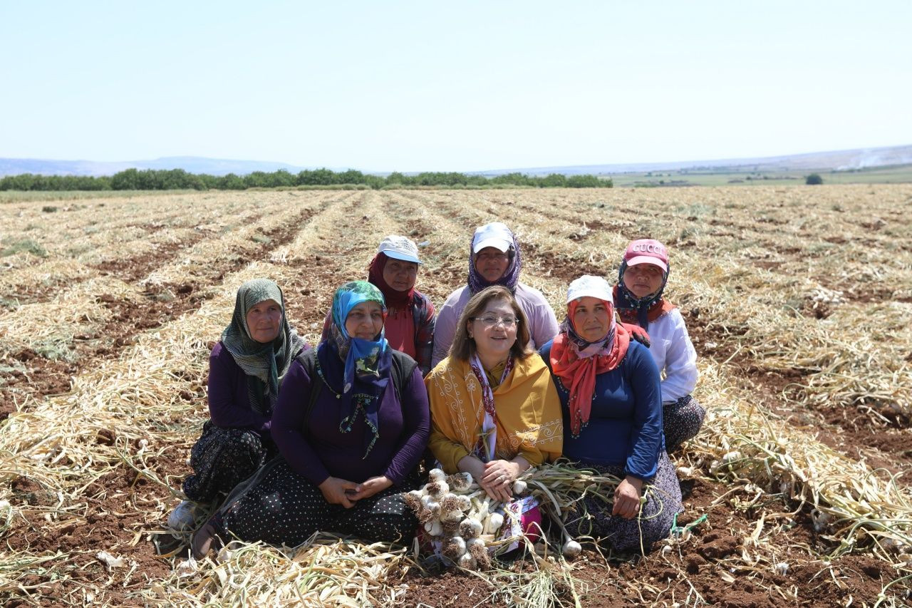 Gaziantep'in meşhur Araban sarımsağının ünü sınırları aştı... AB'den coğrafi işaret tescili aldı! - Sayfa 5