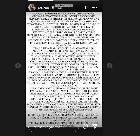 Köpeği dehşet saçan Banu Parlak, ''Beni katil ilan ettiniz'' diyerek isyan etti! ''Beyzbol sopalarıyla bana saldırdılar, darp raporu aldım'' - Sayfa 6