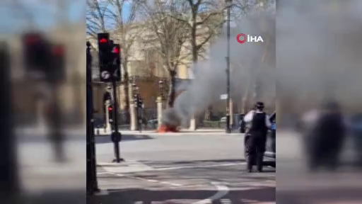 Buckingham Sarayı önünde elektrikli bisiklet patladı - Sayfa 5