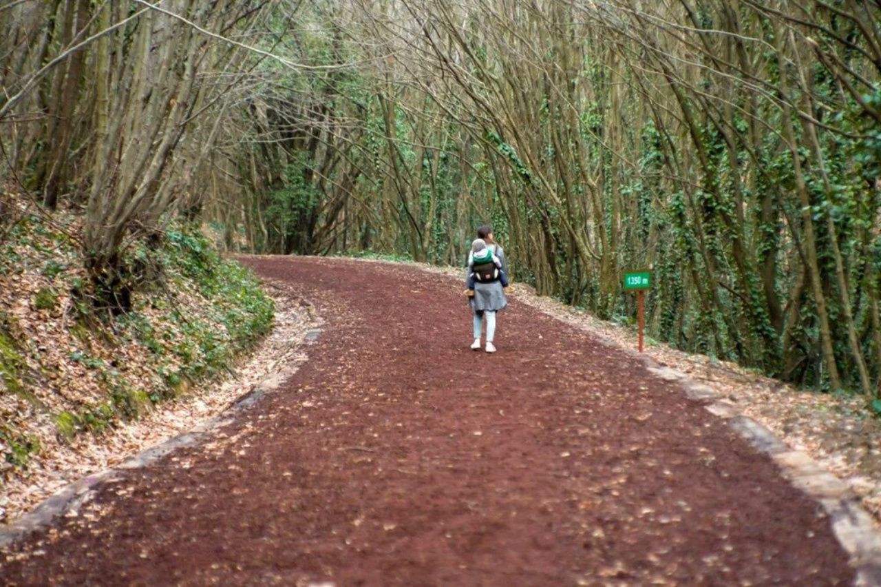 Bayramda İstanbul'da kalanlara gezi rehberi! İstanbul'a yakın gezilecek yerler - Sayfa 33