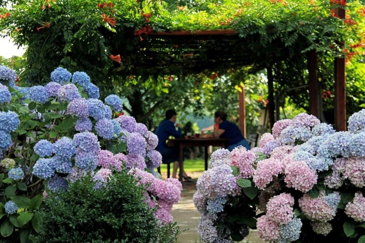 Bayramda İstanbul'da kalanlara gezi rehberi! İstanbul'a yakın gezilecek yerler - Sayfa 35