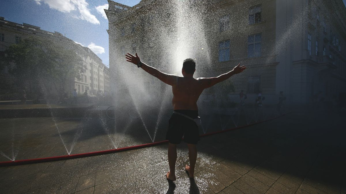 Bilim insanları uyardı: Sıcaklık 2 derece daha artarsa geri dönüşü yok! - Sayfa 5