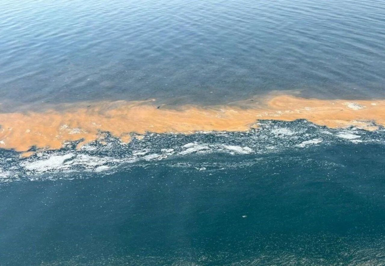 Marmara Denizi'nde endişelendiren görüntü! 'Denize girmeyin' uyarısı! - Sayfa 5