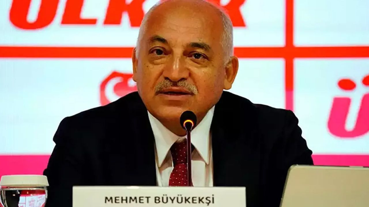 “Türkiye Futbol Federasyonu gördüğüm en kötü, en berbat ve en iğrenç yönetilen federasyon! Türkiye bu edepsiz, utanmaz federasyondan bir an önce kurtulmalıdır” - Sayfa 6