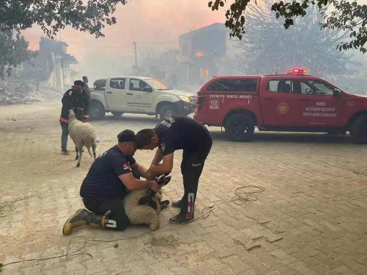 NASA görüntüledi: İzmir'deki felaketin boyutunu gözler önüne serdi! - Sayfa 11