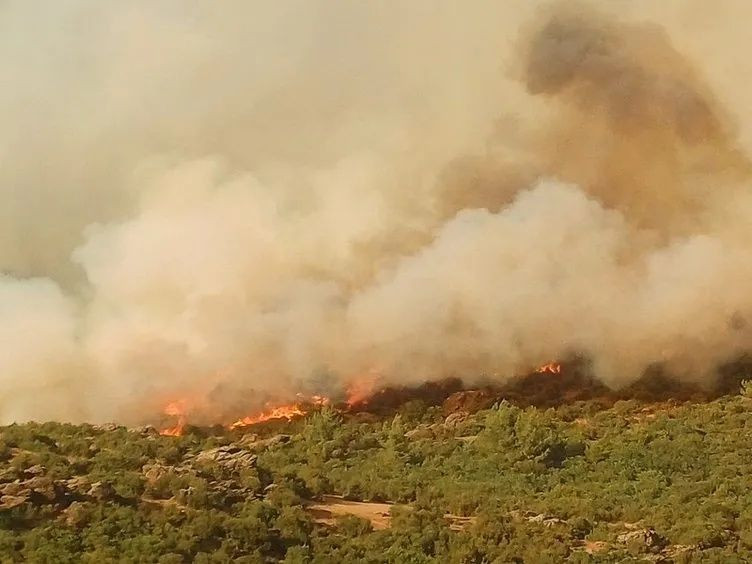 Alevlerle mücadele büyük seferberlik... İzmir, Aydın, Muğla, Bolu ve Manisa'daki orman yangınlarında son durum: 5 aktif yangın var! - Sayfa 9