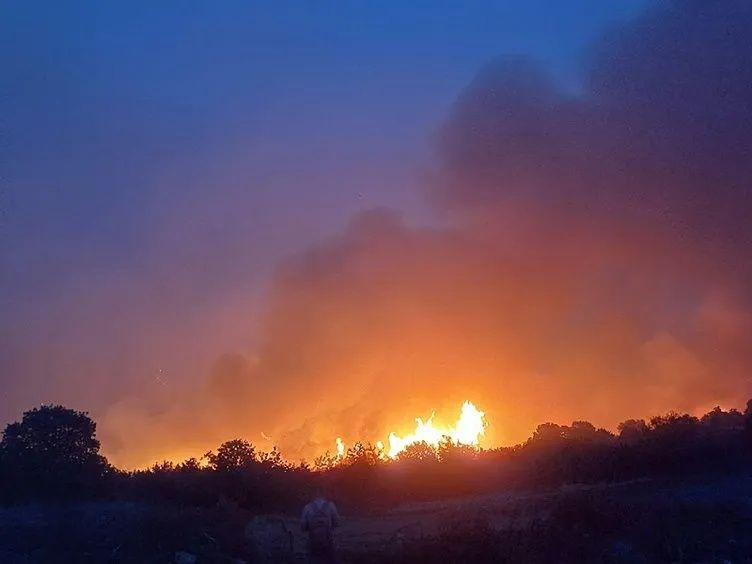 Alevlerle mücadele büyük seferberlik... İzmir, Aydın, Muğla, Bolu ve Manisa'daki orman yangınlarında son durum: 5 aktif yangın var! - Sayfa 5