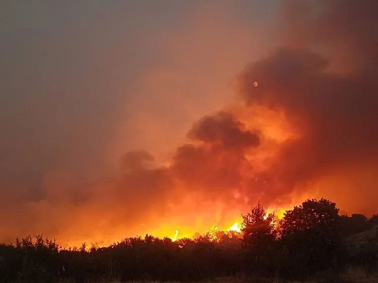 Alevlerle mücadele büyük seferberlik... İzmir, Aydın, Muğla, Bolu ve Manisa'daki orman yangınlarında son durum: 5 aktif yangın var! - Sayfa 7