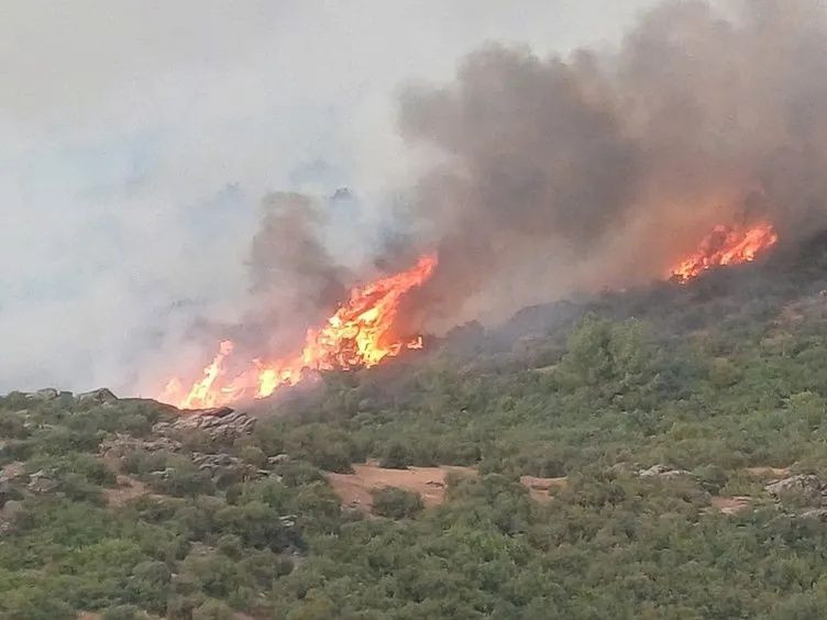 Manisa ve Uşak'taki orman yangınları kontrol altına alındı! - Sayfa 6