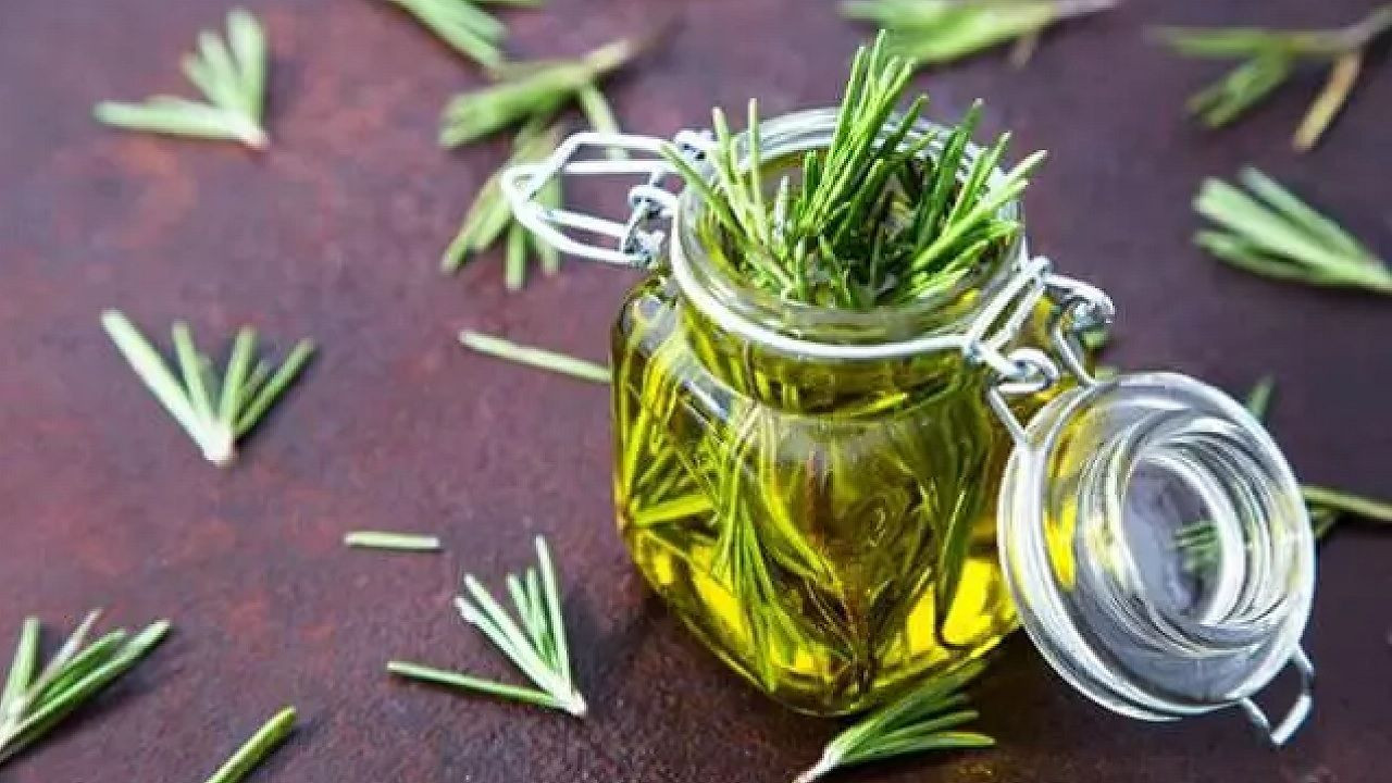 Düzenli tüketenler yaşadı! Bu baharatları tüketenlerin bellek gücü 10 kata kadar artıyor... - Sayfa 5