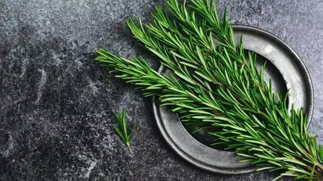 Düzenli tüketenler yaşadı! Bu baharatları tüketenlerin bellek gücü 10 kata kadar artıyor... - Sayfa 9