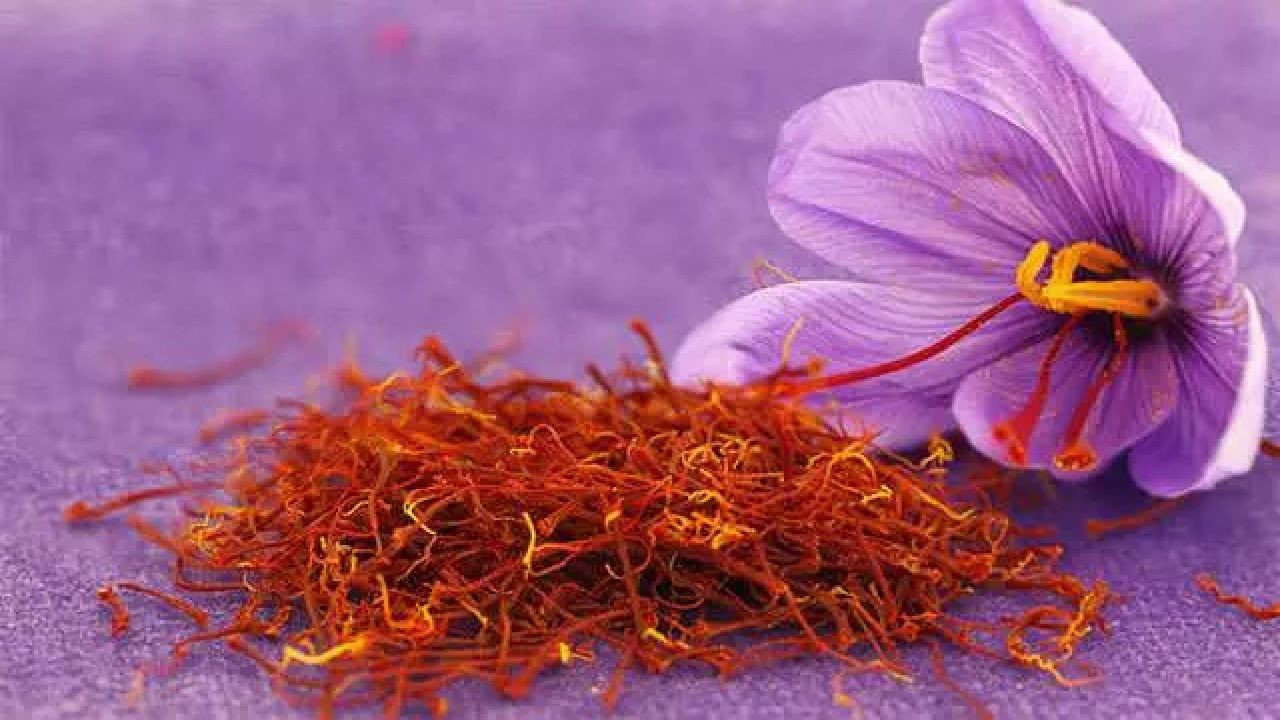 Düzenli tüketenler yaşadı! Bu baharatları tüketenlerin bellek gücü 10 kata kadar artıyor... - Sayfa 8