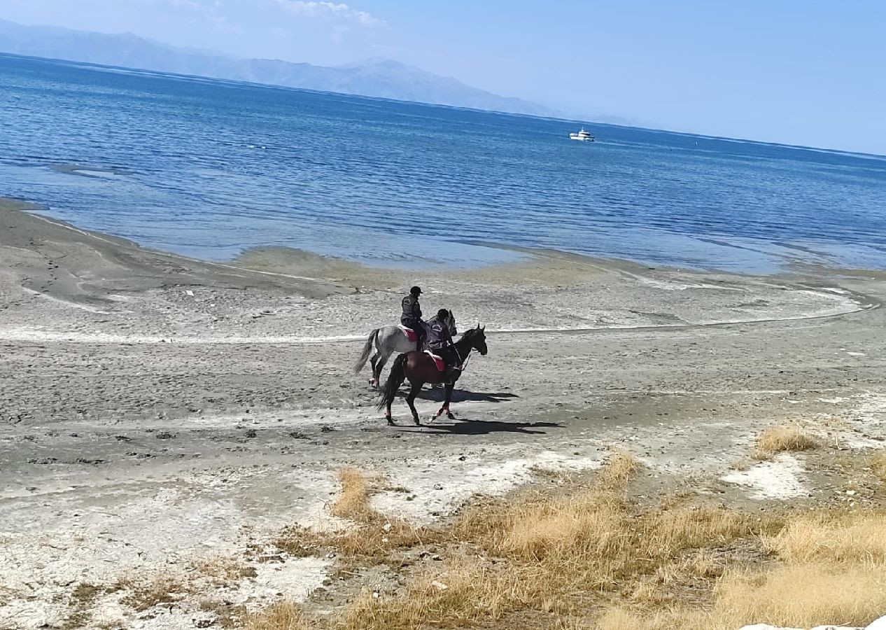 Van Yüzüncü Yıl Üniversitesi öğrencisi Rojin Kabaiş 3 gündür kayıp; sahilde telefon, kek ve su bulundu - Sayfa 5