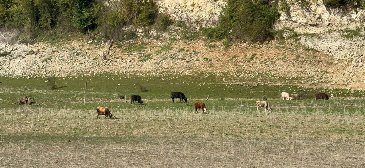 İstanbul'un 102 günlük suyu kaldı! Barajlardaki doluluk oranı yüzde 37'ye düştü - Sayfa 5