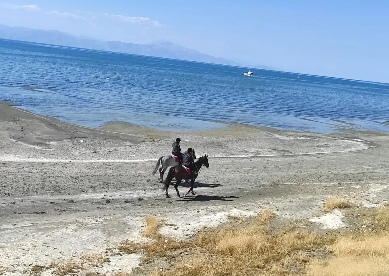 Van'da kaybolan Rojin Kabaiş'ten hala iz yok; telefonu jandarma kriminale gönderildi - Sayfa 5