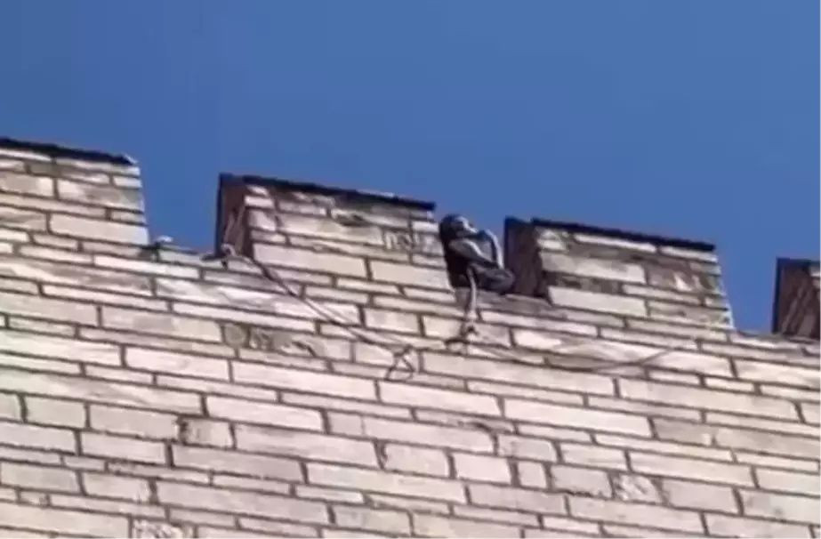 Semih Çelik'in babasından kan donduran ifadeler! "Oğlun kızımın beynini yıkıyor, beraber intihar edecekler" - Sayfa 7