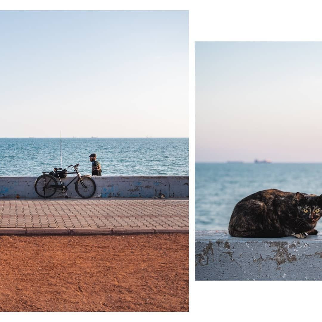 Köpeğiyle birlikte yürüyerek dünyayı dolaştı, Guinness Dünya Rekorları'na girdi! 38 ülke gezdi ama aklı Türkiye'de kaldı - Sayfa 20