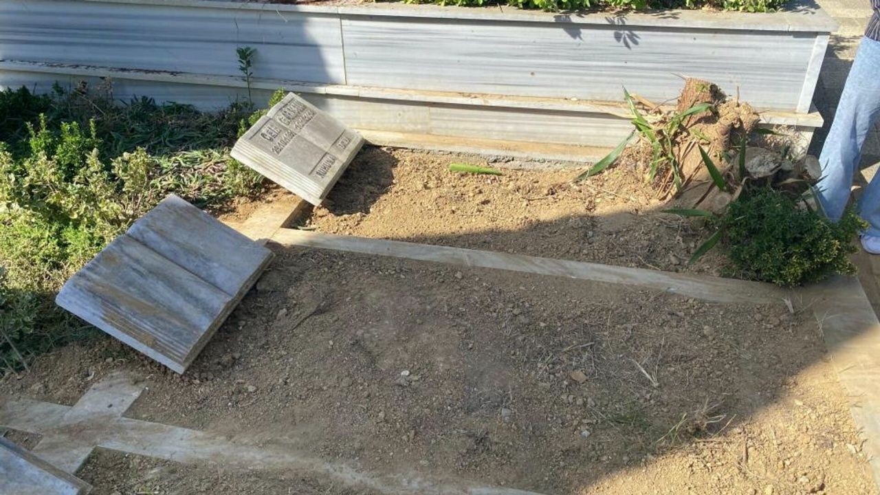 Poşetteki kan insana ait değilmiş - Sayfa 8