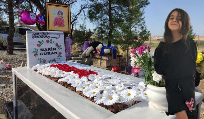 Narin'in büyük abisi Baran Güran'a göre cinayetin baş şüphelisi Salim Güran değil, Nevzat Bahtiyar - Sayfa 7