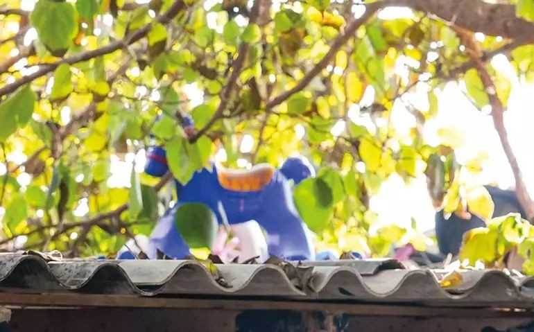 Türkiye İzmir'de yanarak can veren 5 kardeşe ağlıyor... Bakanlık yürek burkan detayı paylaştı! "Devlet himayesine almak istemiştik..." - Sayfa 5