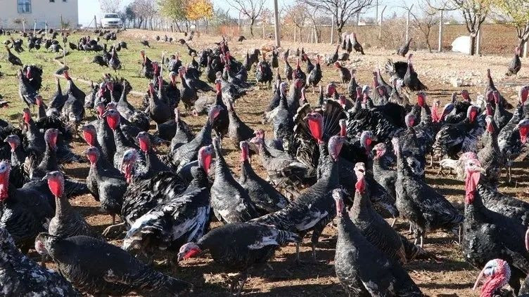 Çiftlik Bank'tan sonra Hindi Bank! 40 kişiyi 50 milyon lira dolandırdı... Polis her yerde onu arıyor... - Sayfa 5