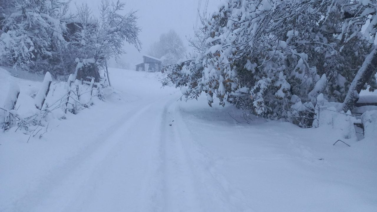 Ne Erzurum ne de Kars! Termometre -20'yi gördü! İşte Türkiye'nin en soğuk yerleri! - Sayfa 15