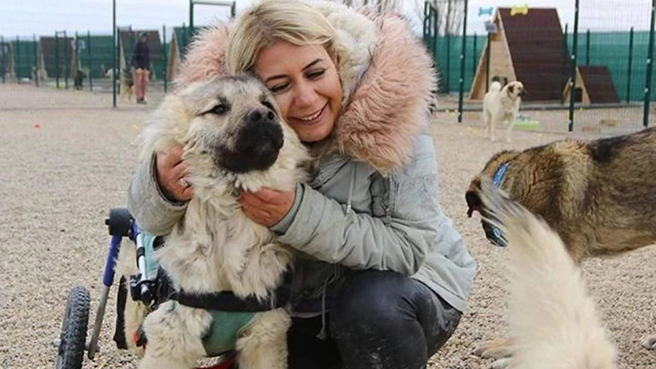 Köpek velisi Buket Özgünlü'nün maskesi düştü! Gözaltına alındı! 20 milyon TL'lik zarar... - Sayfa 5