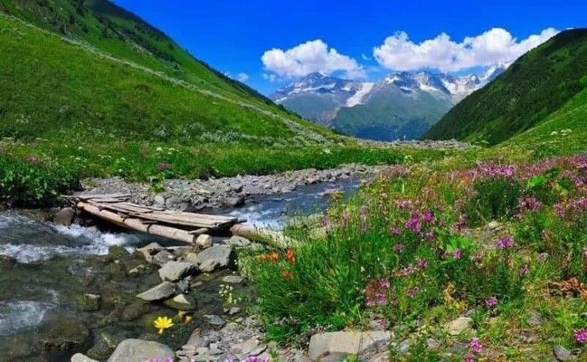 Bulutların arasında kamp: Kaçkar Dağları'ndaki en güzel yaylalar - Sayfa 10