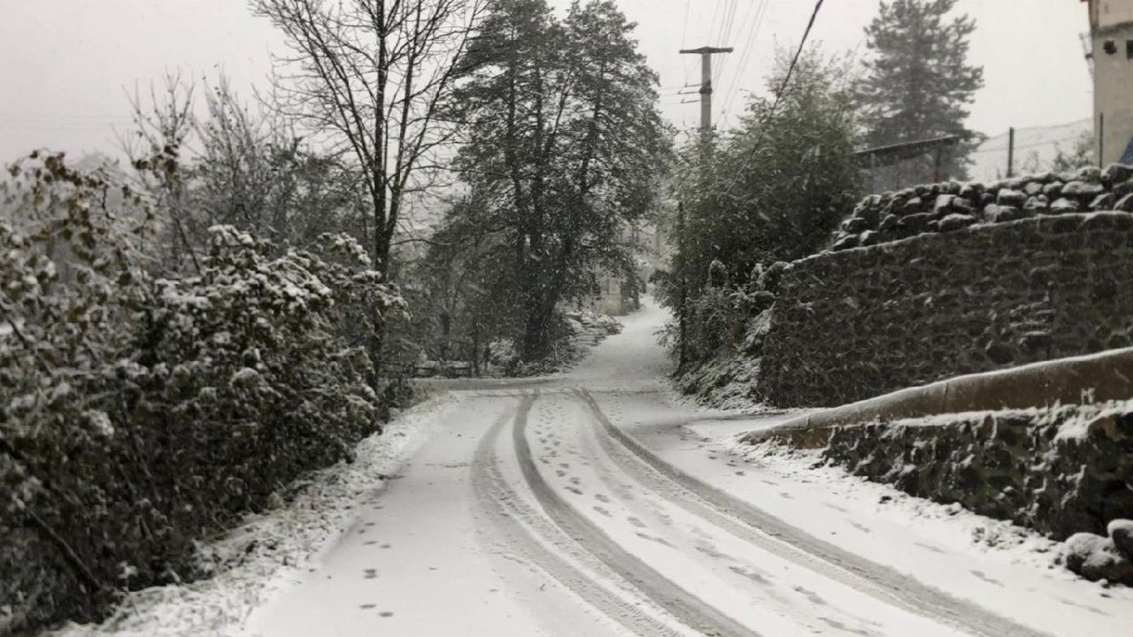 Yurttan kar manzaraları! Çanakkale, Antalya, Mersin ve Denizli'de kar yağışı etkili oldu! - Sayfa 5