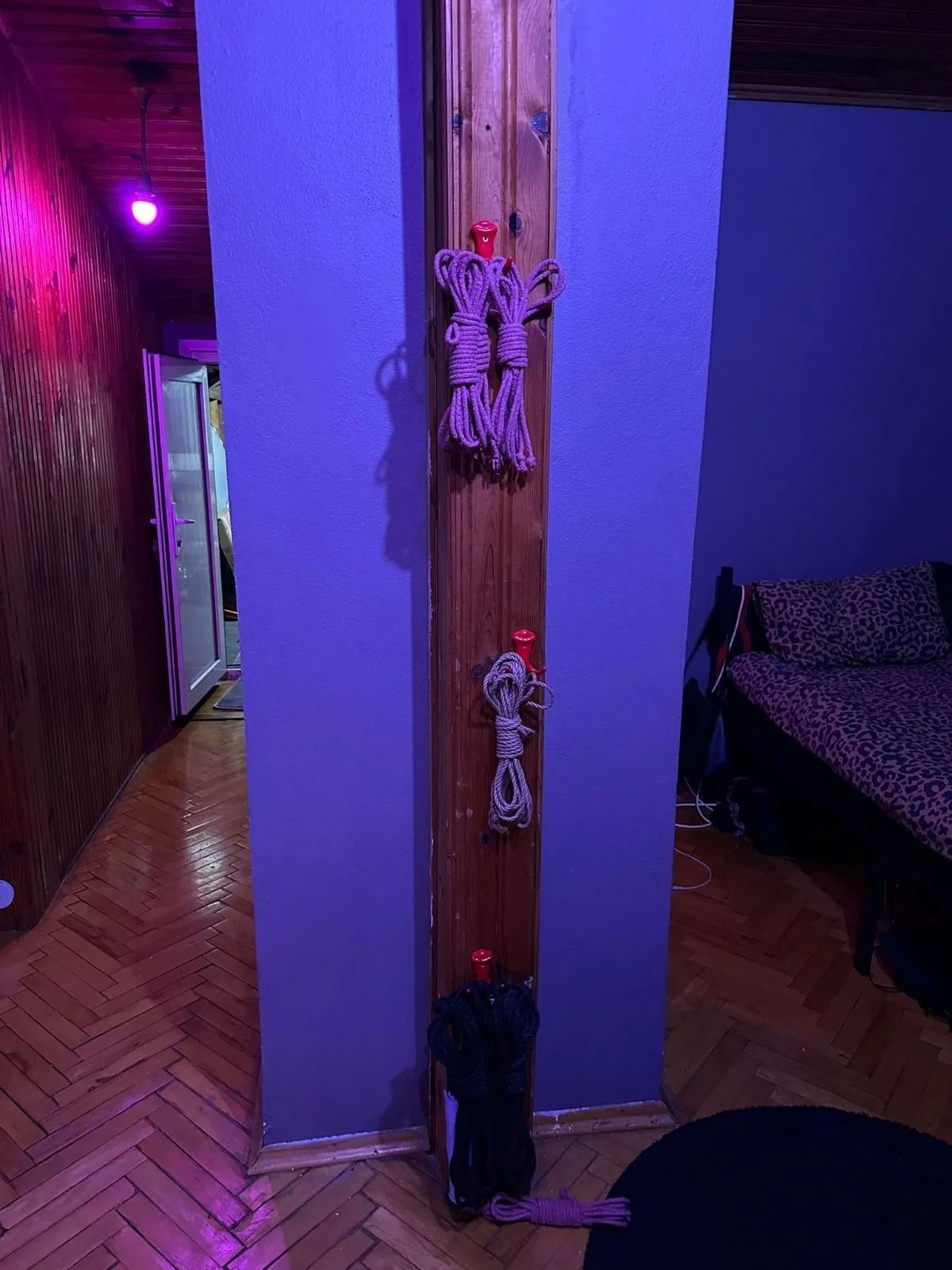 Kadıköy'de yılbaşı öncesi sapkın parti hazırlığı! Kırbaç, kafes ve boyunduruk bulundu... Şok baskın! - Sayfa 8