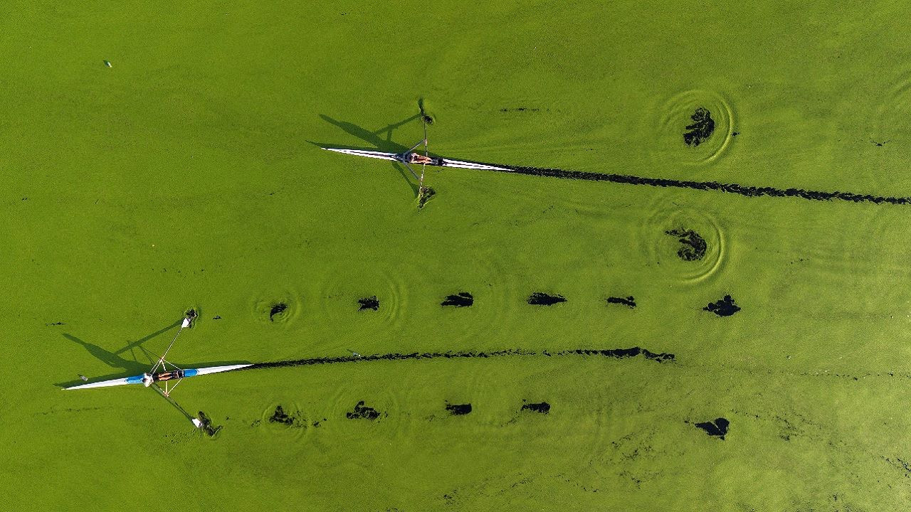 Savaş, kurgu, yaşam, sanat ve insanlık! İşte 2024 yılına damga vuran fotoğraflar... - Sayfa 9