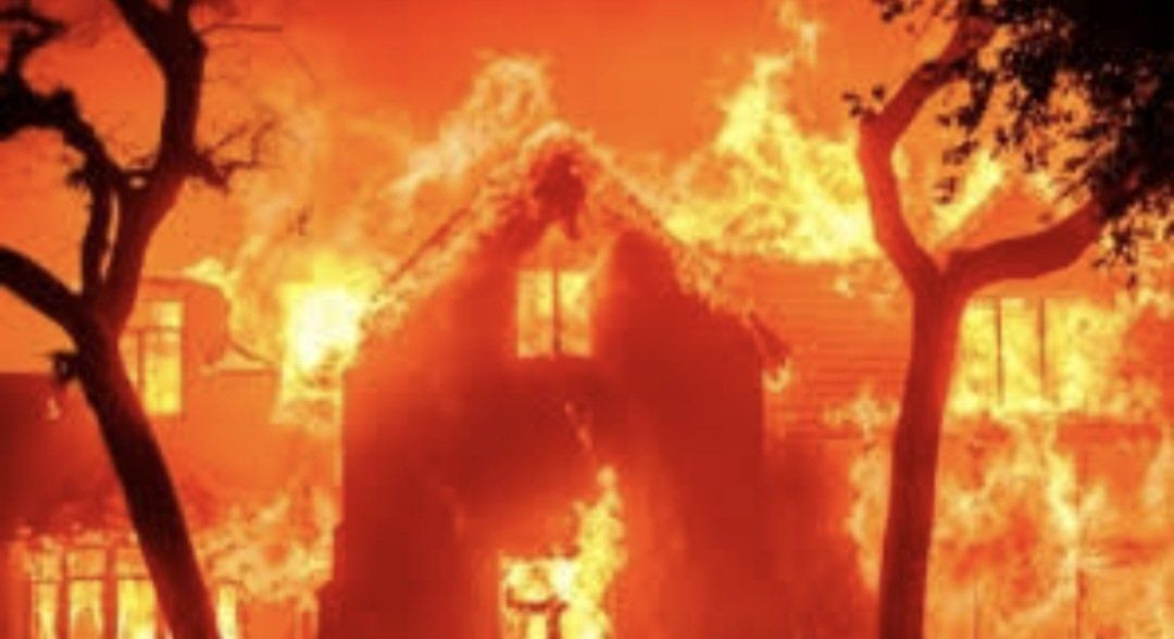 Los Angeles yangınından 5 ay önce dikkat çeken hareketlilik! Sigorta şirketleri peş peşe çıkardı... - Sayfa 7